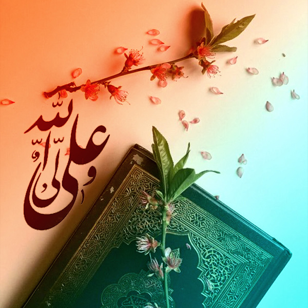 قرآن و امیرالمومنین علیه السلام